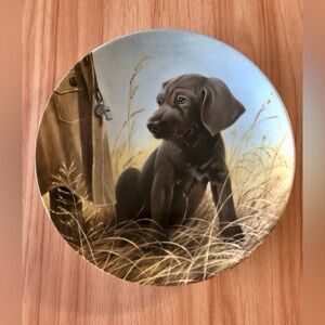 1989 Command Performance - The Weimaraner